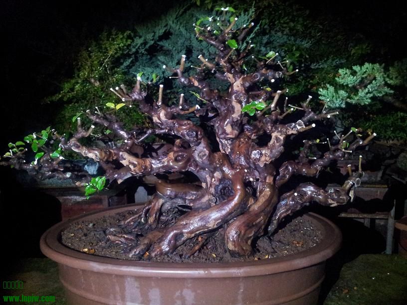 20140901_22054202.JPG