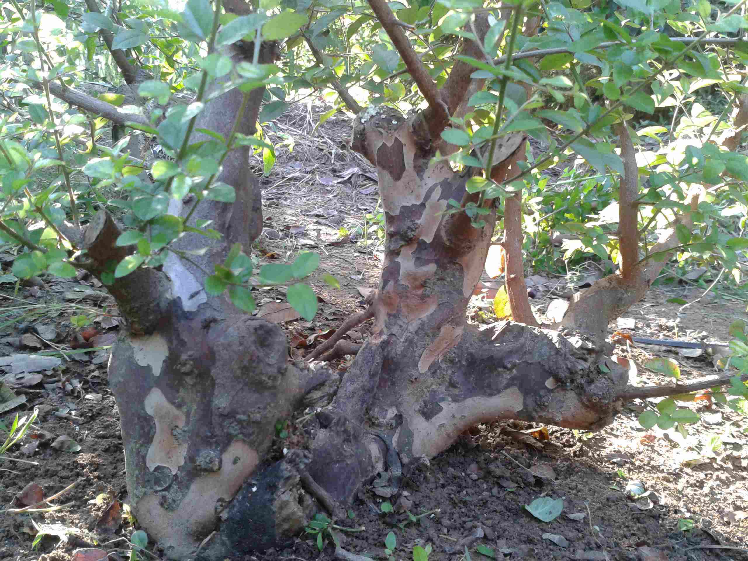 2014-09-17 16.52.50_.jpg