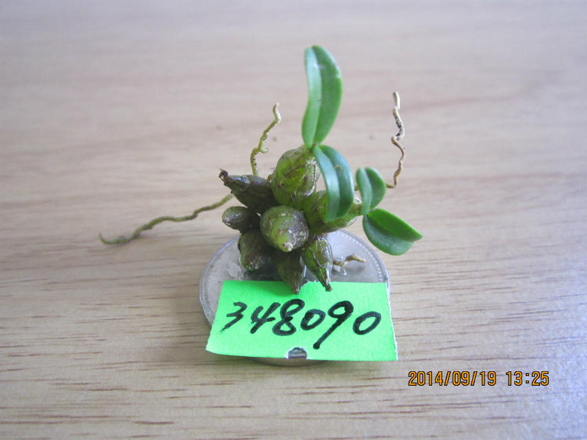 psb (1).jpg