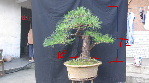 IMG_7880__.jpg