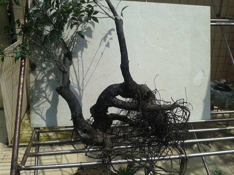 20140918_112227.JPG