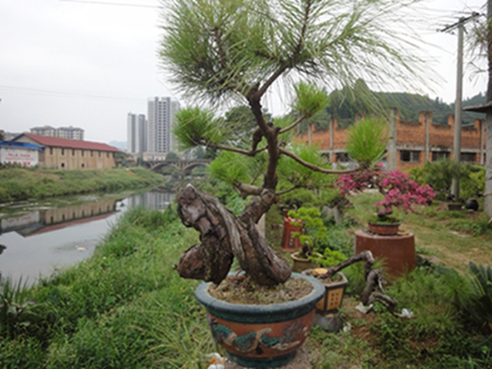DSC02951.jpg