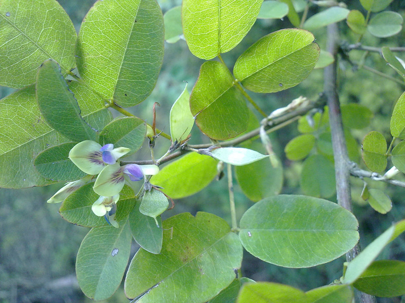 20140920489_.jpg