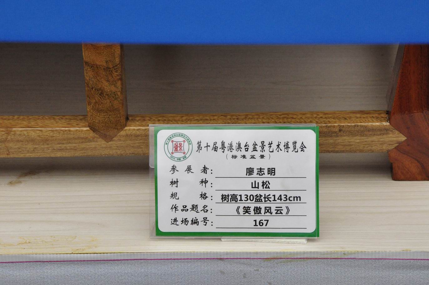 ͼ