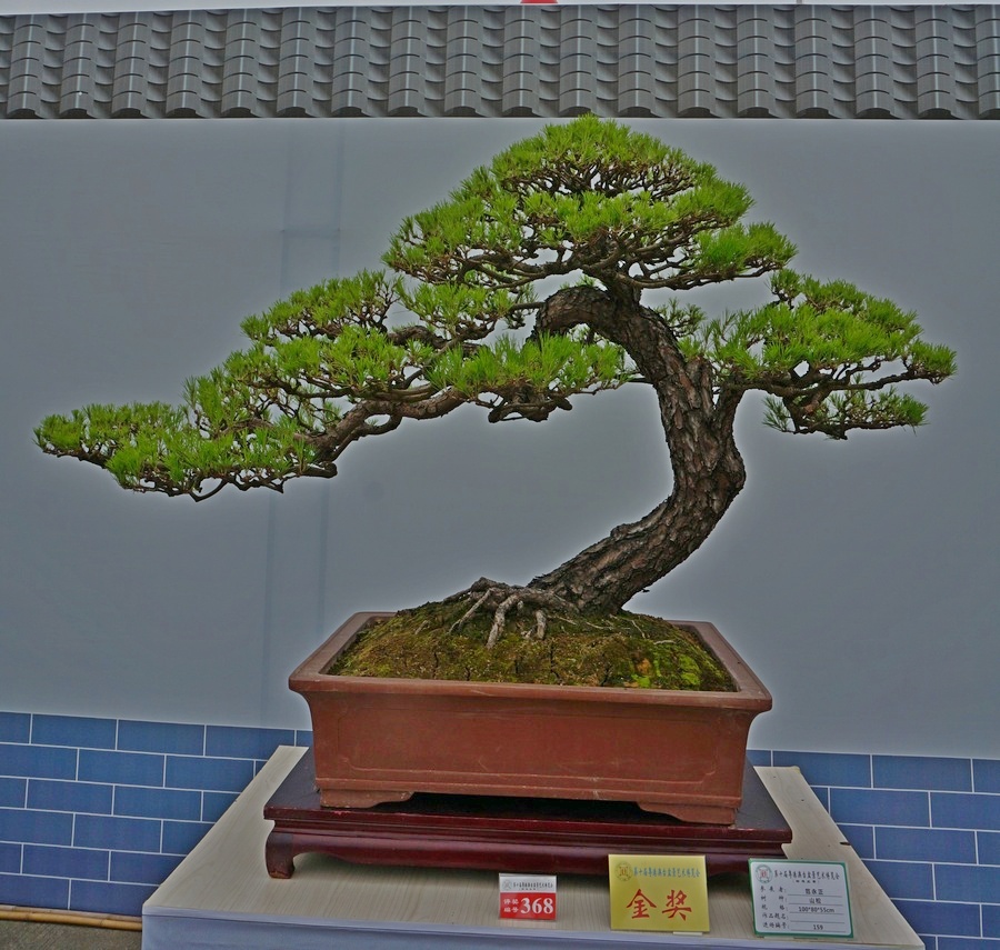DSC04153_cr.jpg