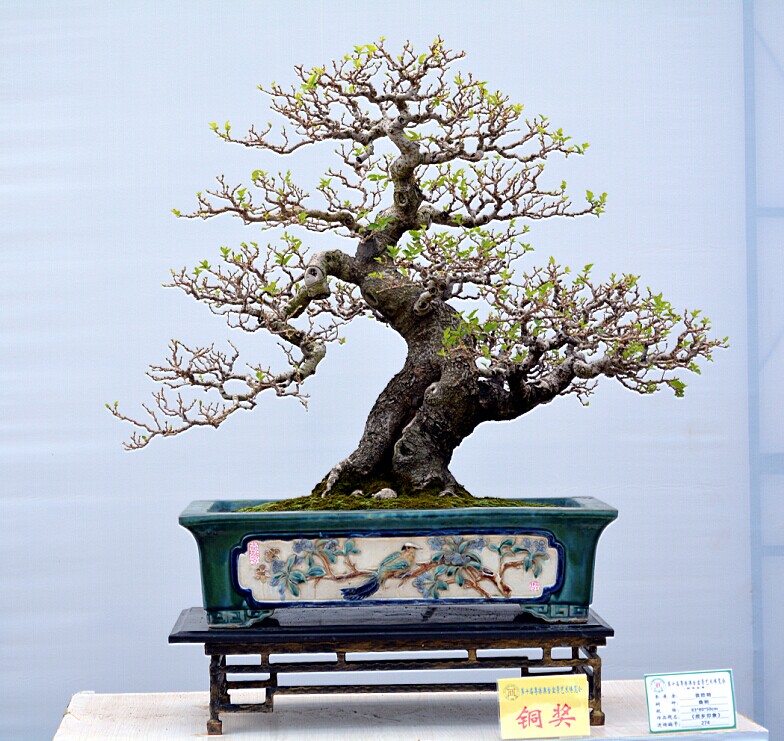 QQͼƬ20140923143315.jpg