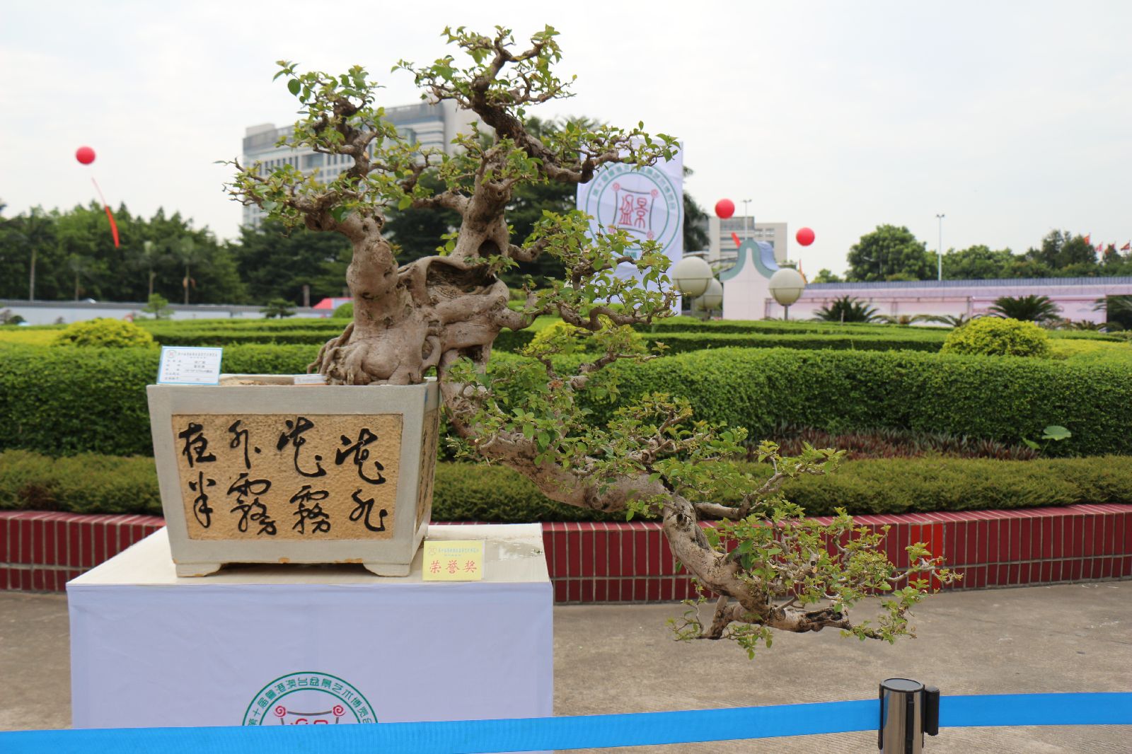 s1600_IMG_2720.JPG