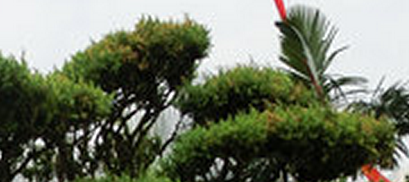 QQͼ20140924003057.png