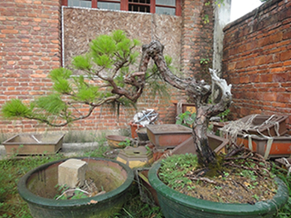 DSC02960.JPG