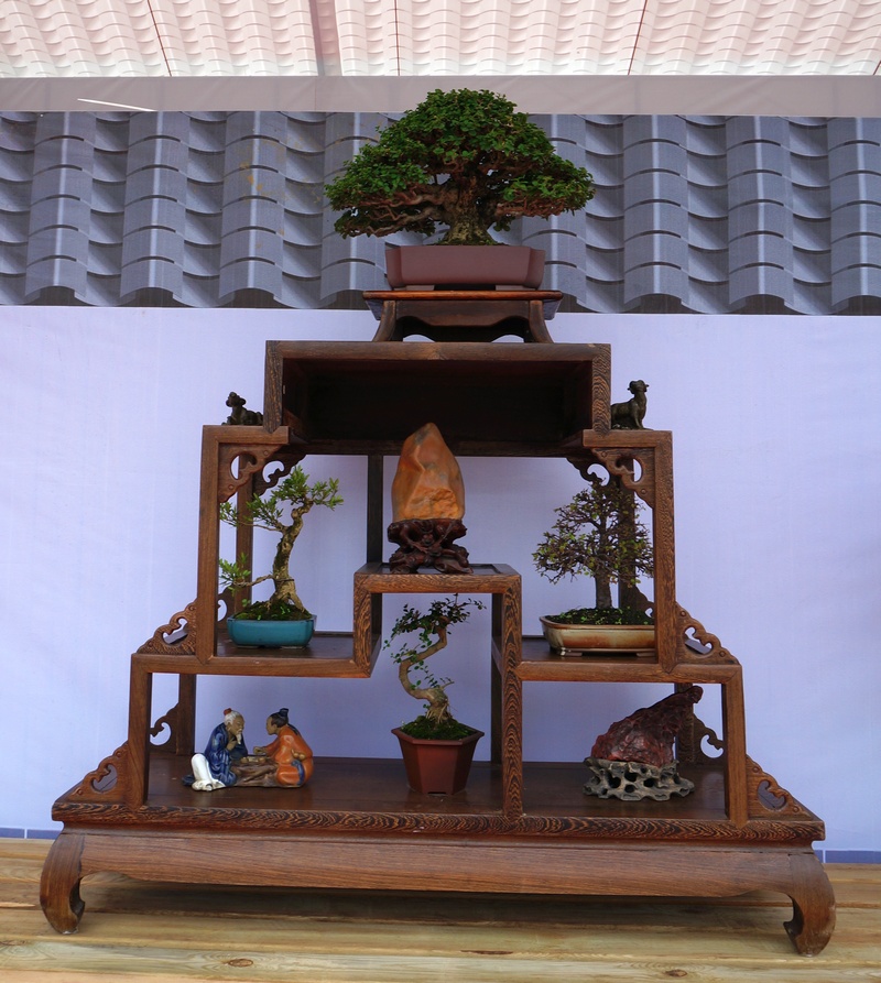 DSC03786_cr.jpg