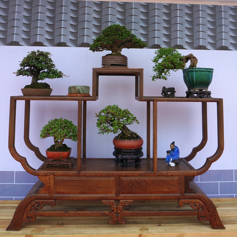 DSC03790_cr.jpg