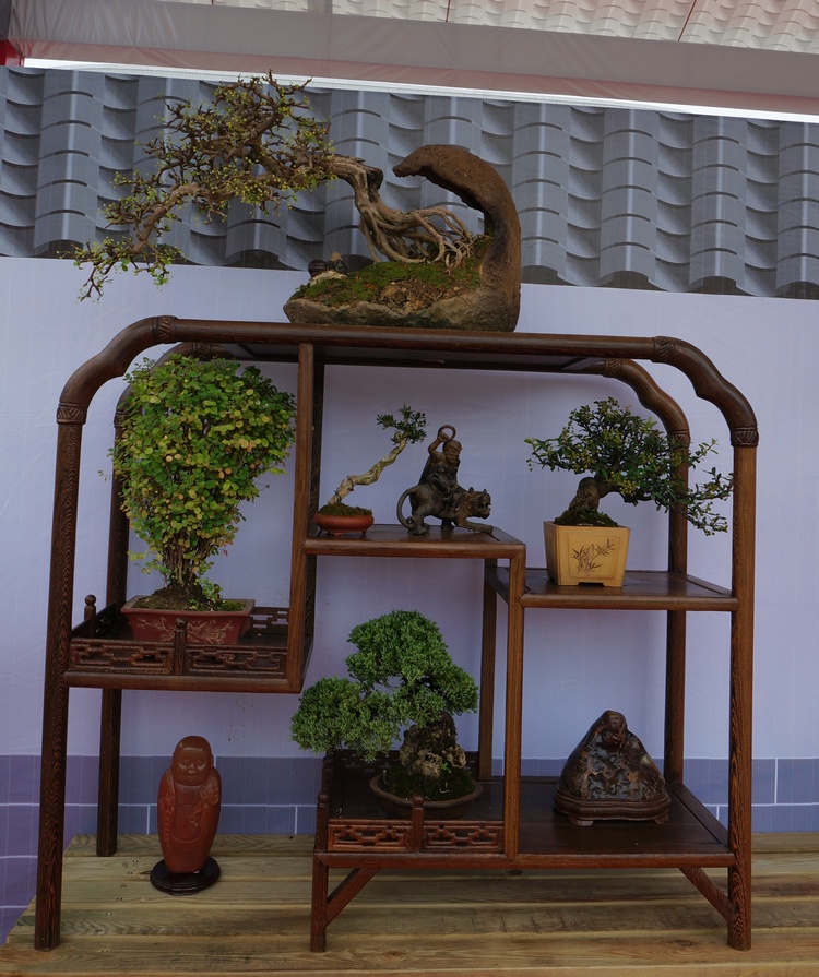 DSC03794_cr.jpg
