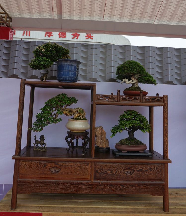 DSC03804_cr.jpg