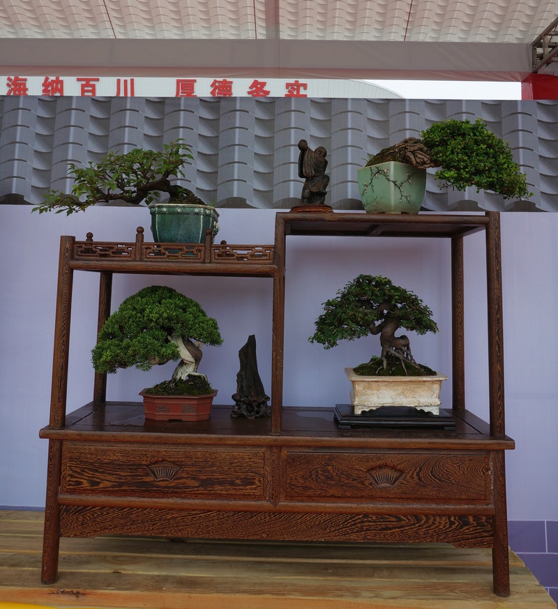 DSC03806_cr.jpg
