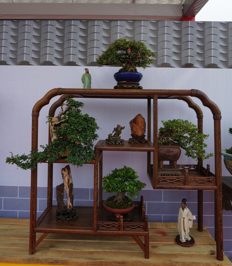 DSC03810_cr.jpg