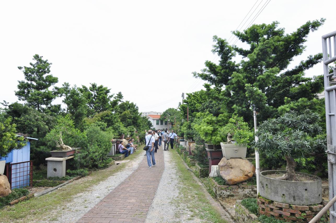 С _DSC0573.JPG