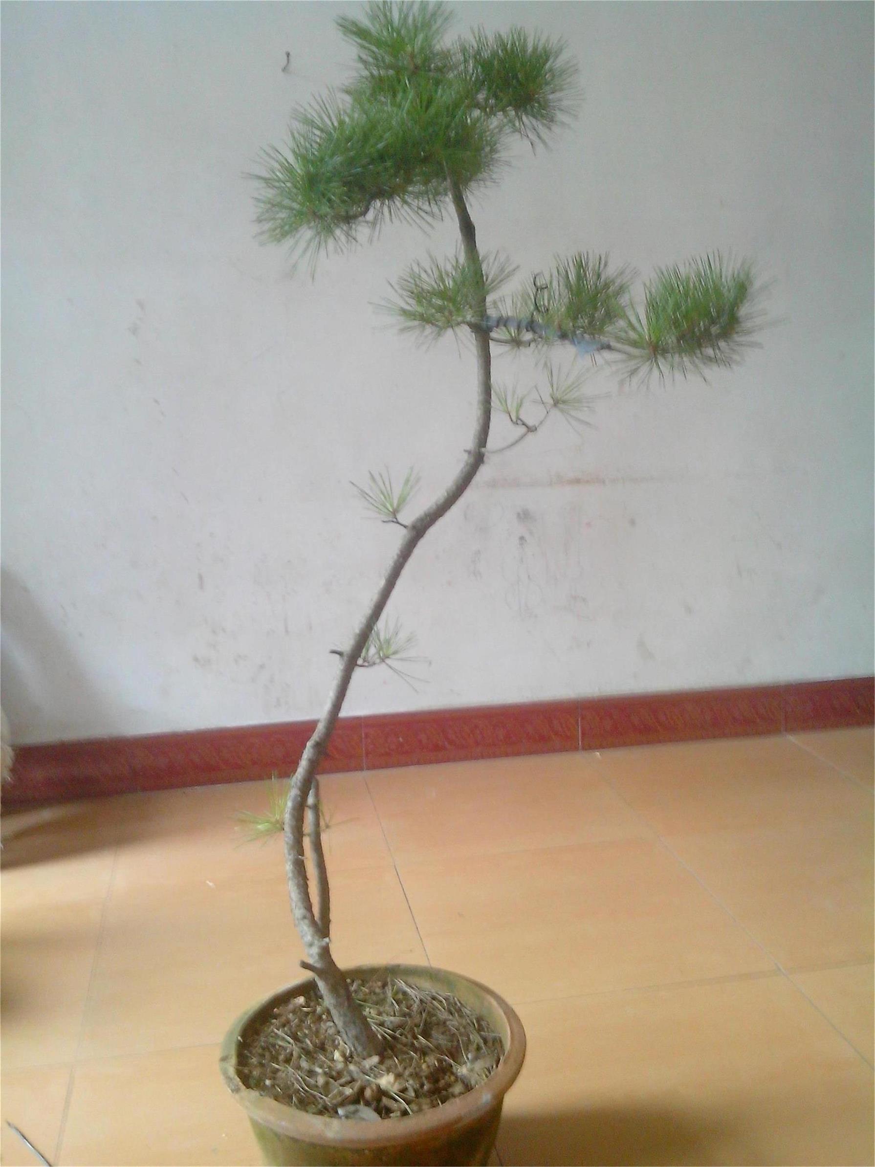IMG20140820001.jpg