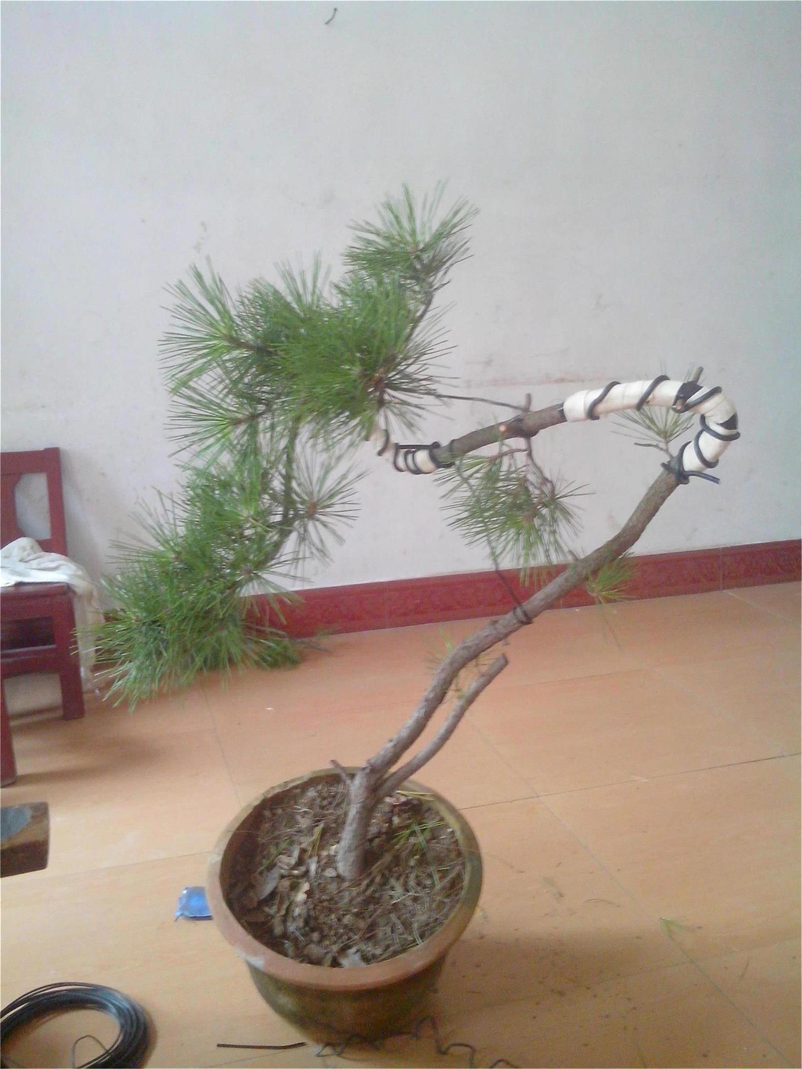 IMG20140820003.jpg
