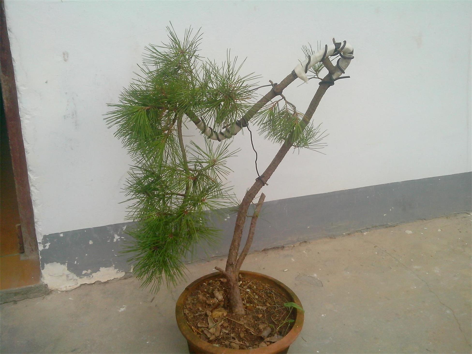 IMG20140924008.jpg