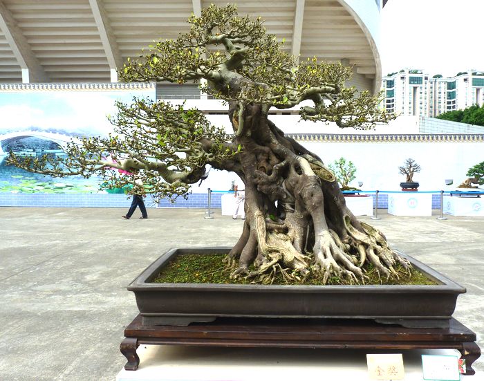 P1050736.JPG