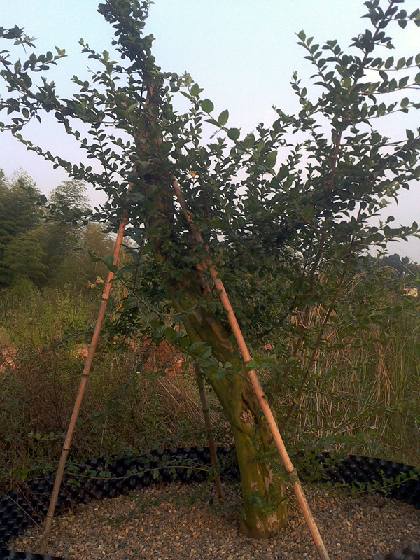 2014-09-26 17.09.50.jpg