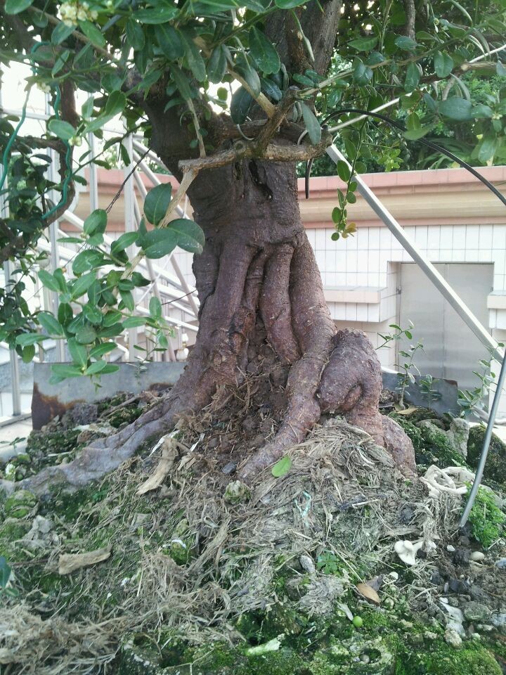 QQͼƬ20140926201638.jpg
