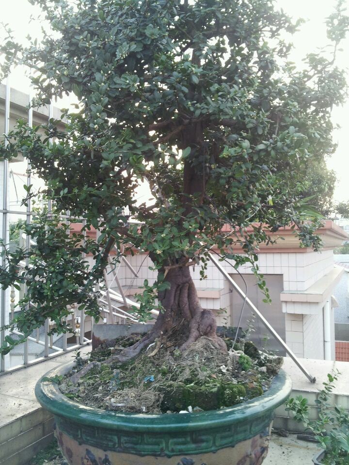 QQͼƬ20140926202049.jpg