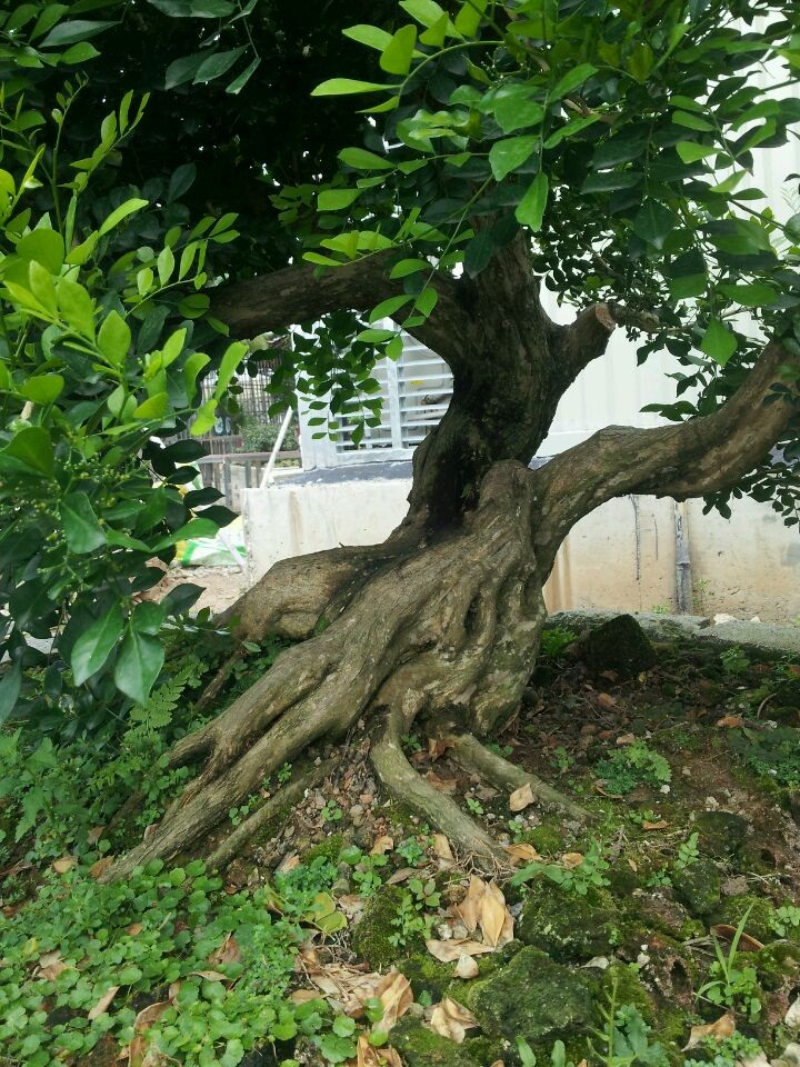 QQͼƬ20140926201804.jpg