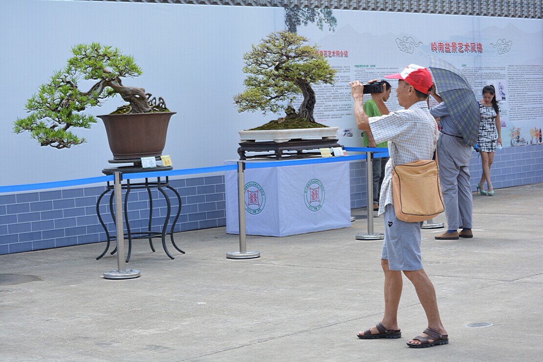 QQͼƬ20140926225712.jpg