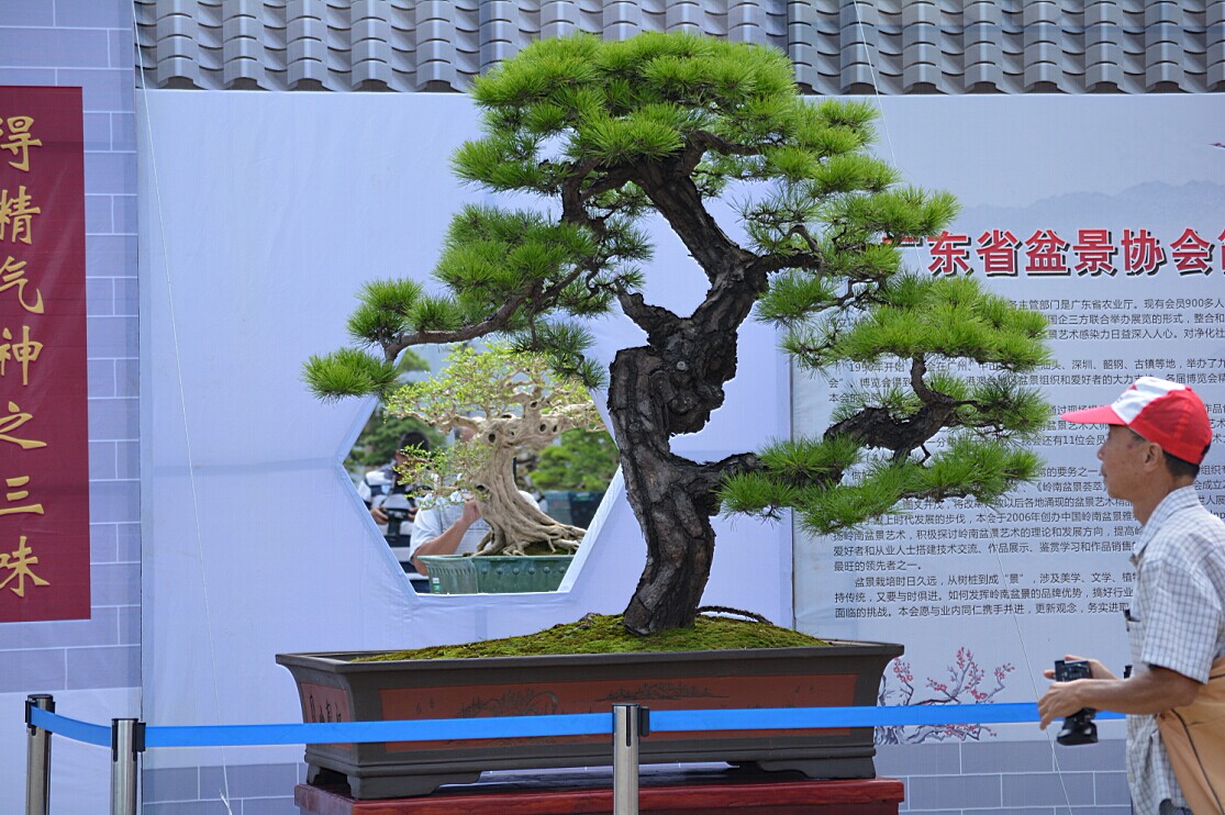 QQͼƬ20140926225810.jpg