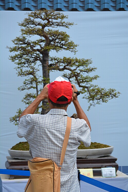 QQͼƬ20140926225930.jpg