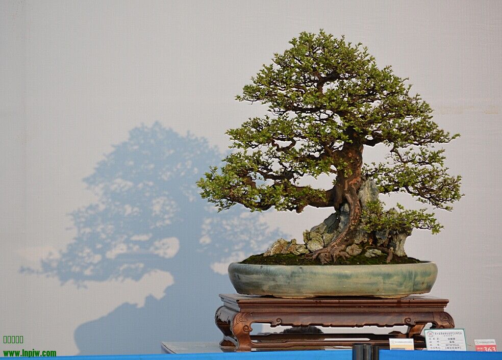 QQͼƬ20140926233737.jpg