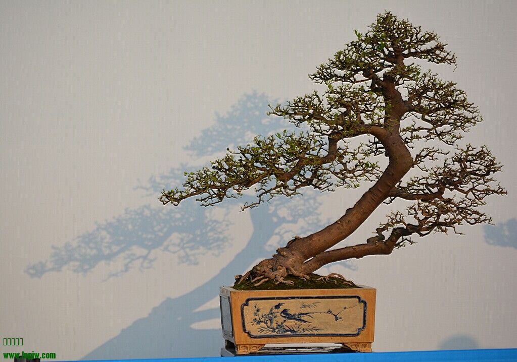 QQͼƬ20140926233809.jpg