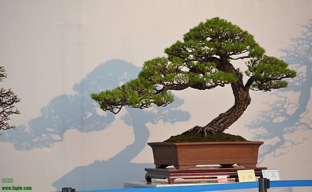 QQͼƬ20140926233842.jpg