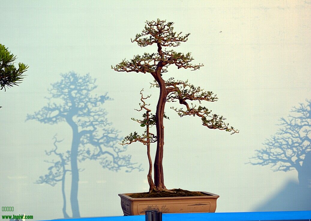 QQͼƬ20140926234350.jpg