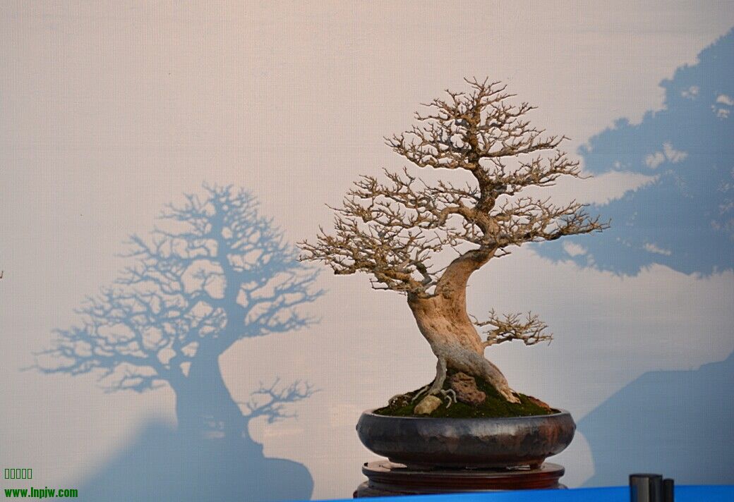 QQͼƬ20140926234417.jpg
