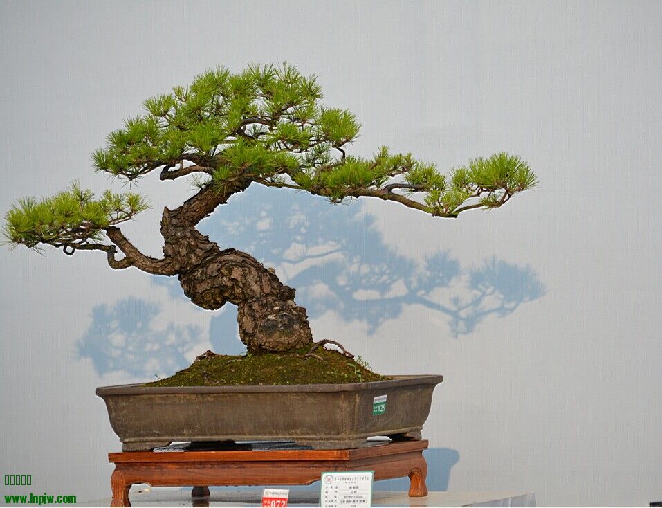 QQͼƬ20140926234507.jpg