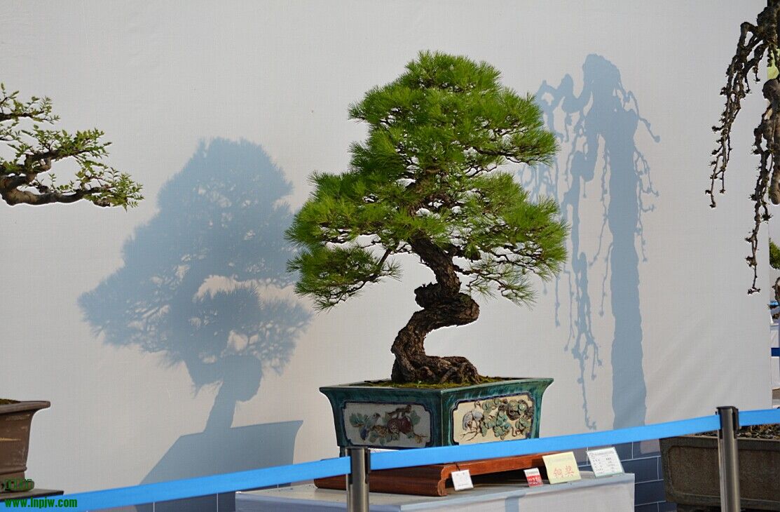 QQͼƬ20140926235128.jpg