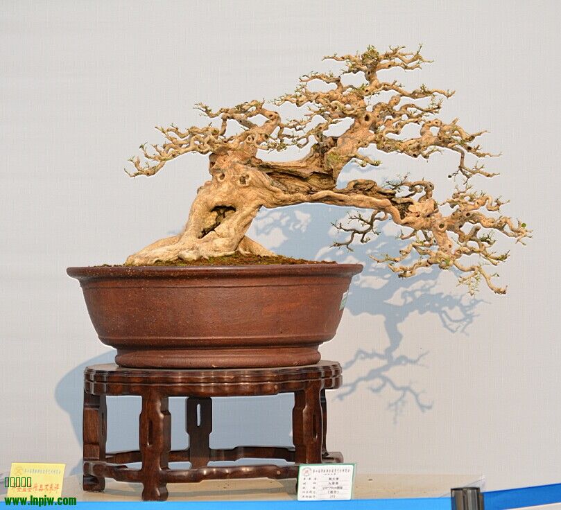 QQͼƬ20140926235458.jpg