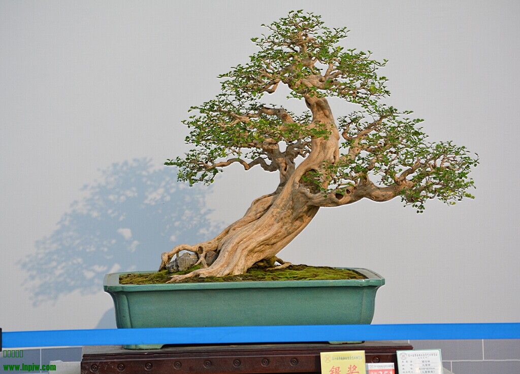 QQͼƬ20140927000047.jpg