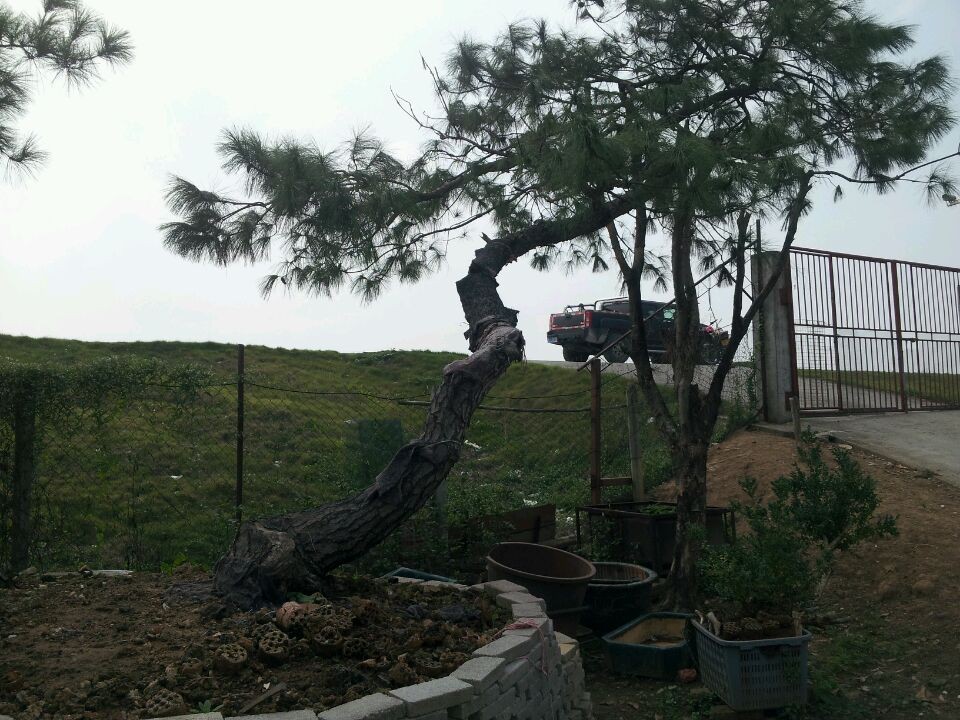 QQͼƬ20140926201958.jpg