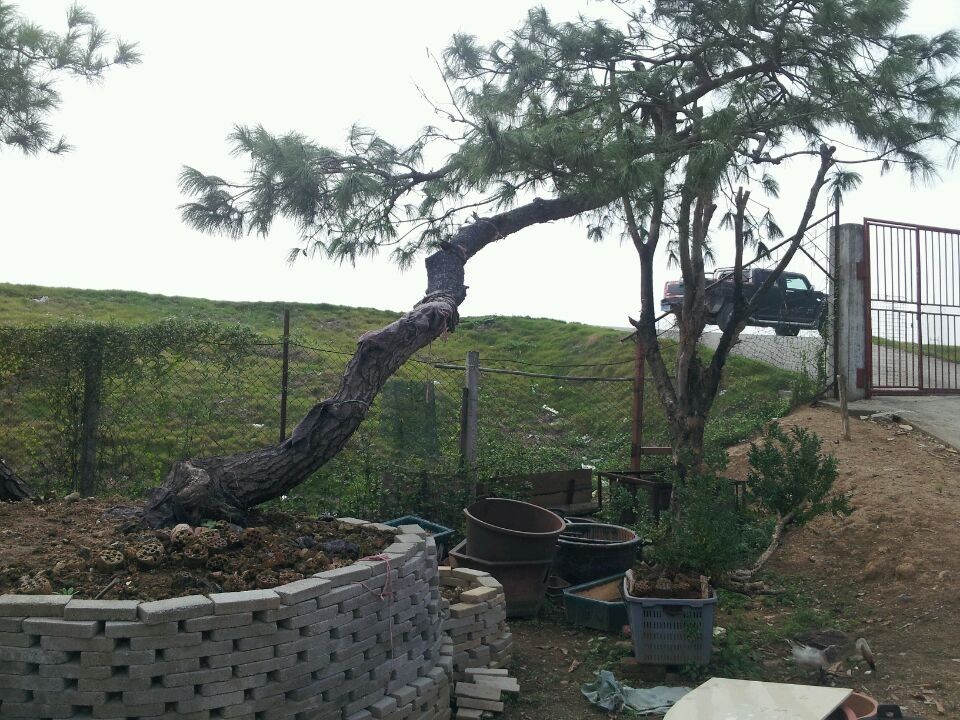 QQͼƬ20140926202135.jpg