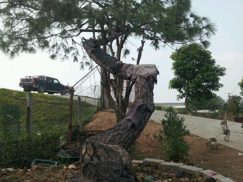 QQͼƬ20140926202142.jpg