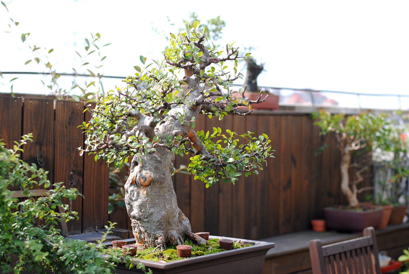 DSC_1934.JPG