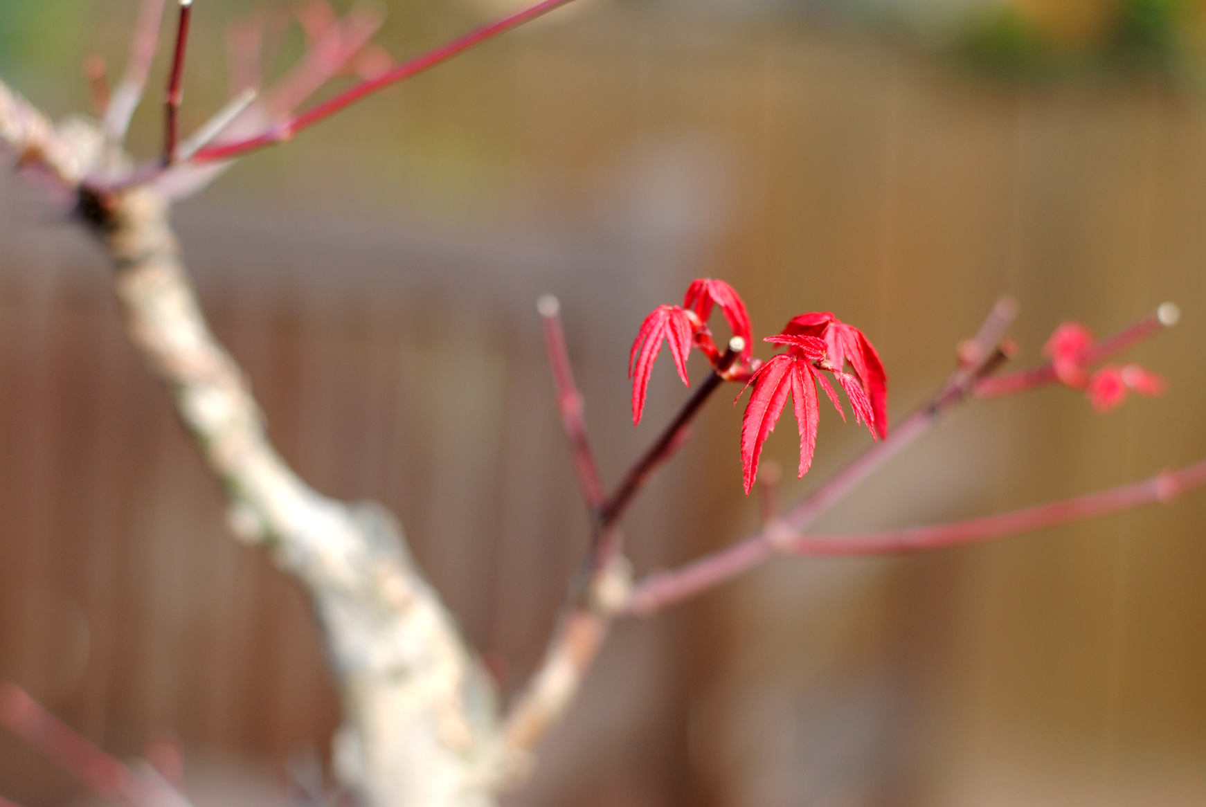 DSC_1925.JPG