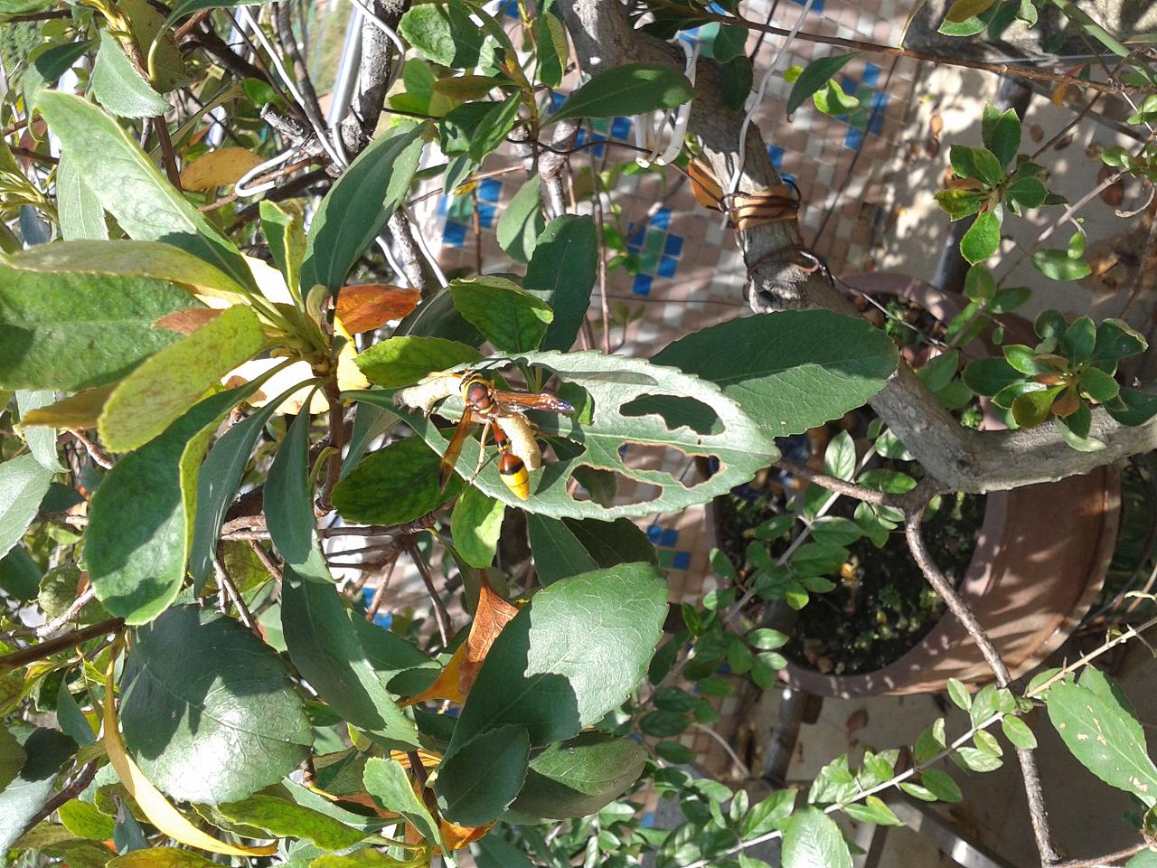 20140927_114500.jpg
