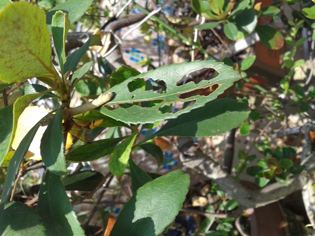 20140927_114507.jpg