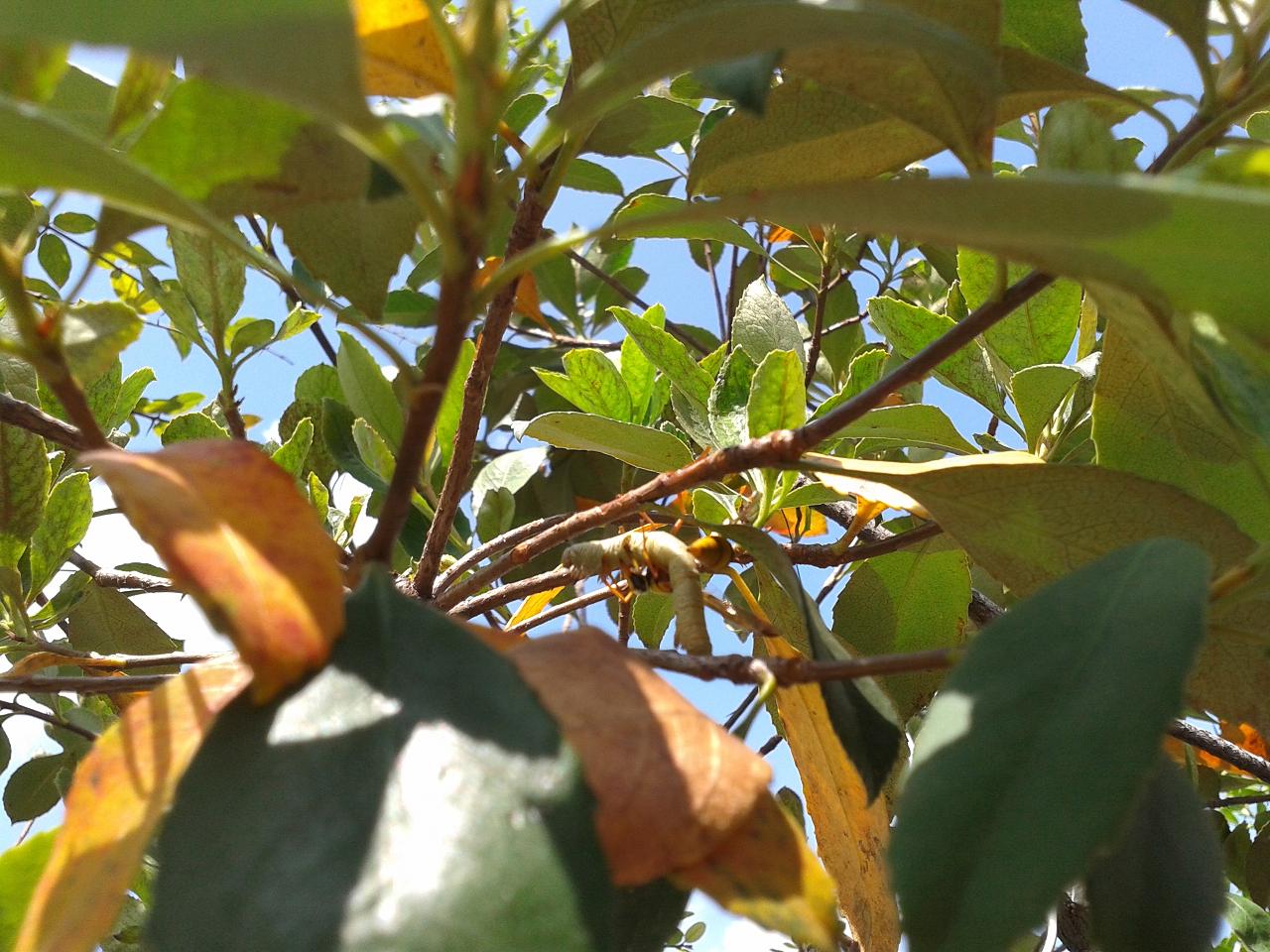 20140927_114759.jpg