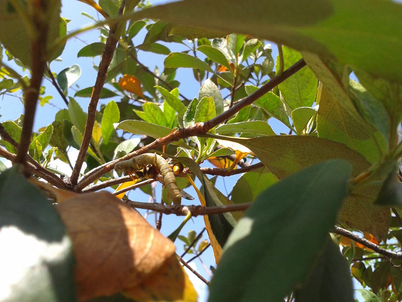 20140927_114806.jpg