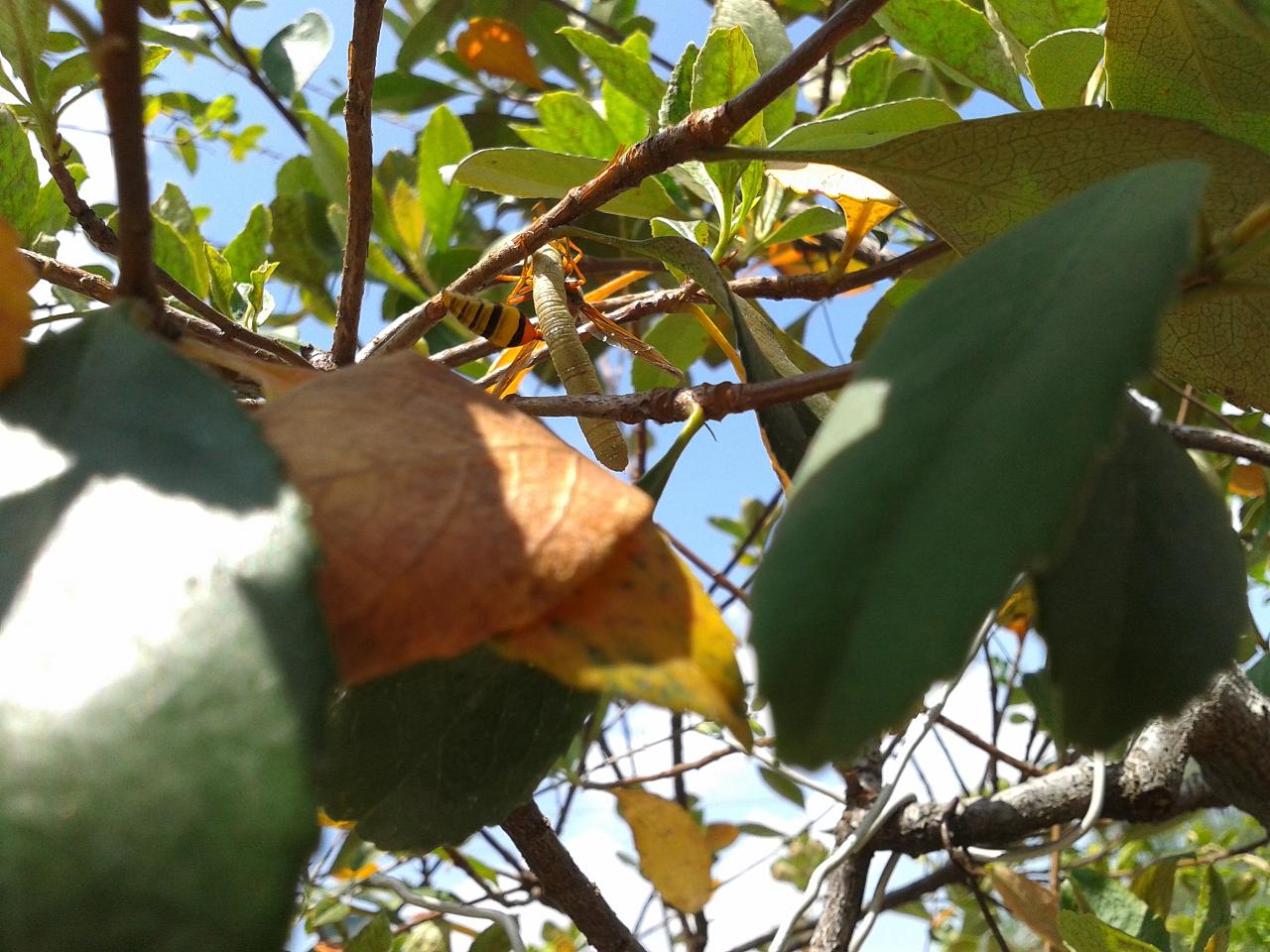 20140927_114939.jpg